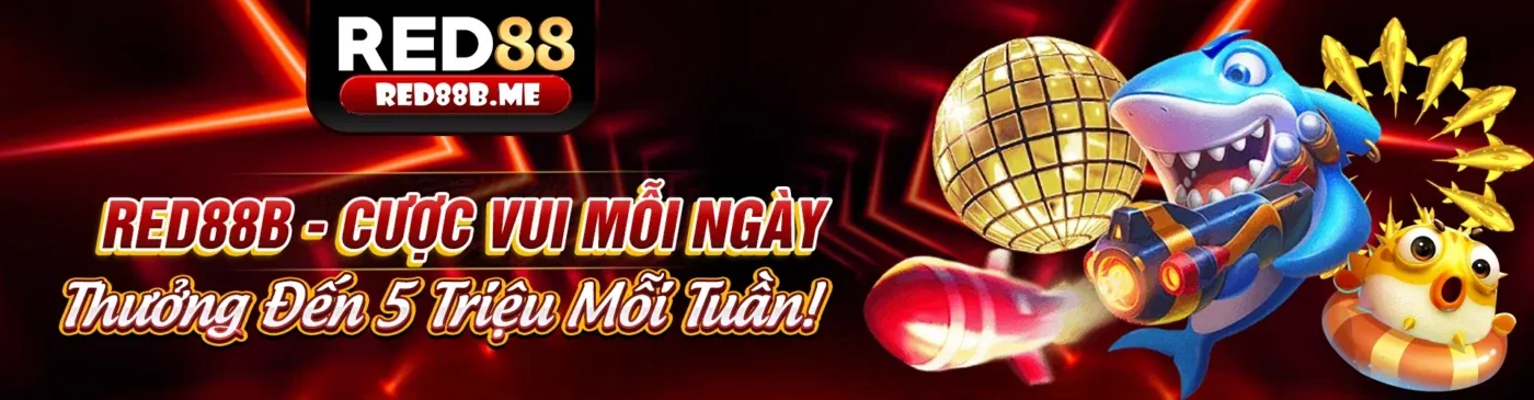 Quyền liên quan đến việc ra quyết định tự động tại 68win10.com